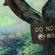 Illustration for article titled Colin Trevorrow secretly made a Jurassic World short film, and it premieres this Sunday